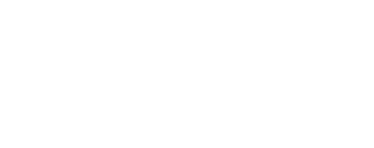 logo-ines-blanco