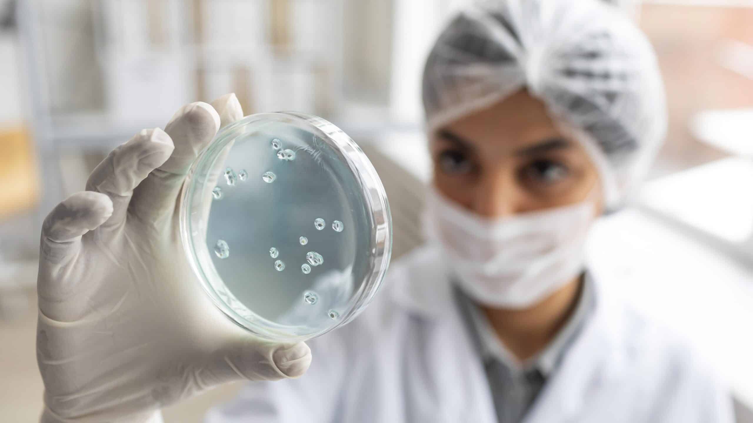 ClearSkin – Christian Palavecino, Centro de Investigación en Ingeniería CIIMAT